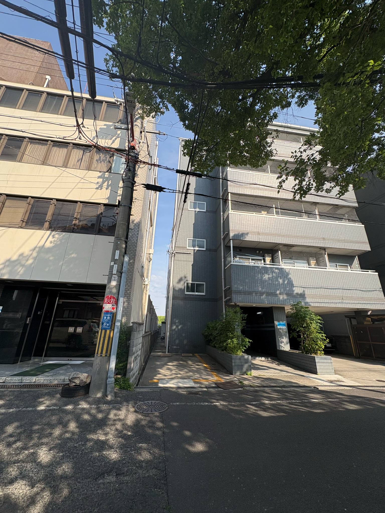 エントランス・共用部