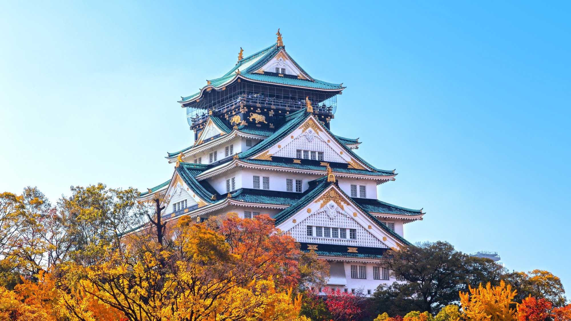 DAI-ICHI Estateが語る！初めての不動産投資で失敗しない5つのポイント【大阪の優良物件を見抜く秘訣】